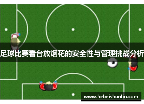 足球比赛看台放烟花的安全性与管理挑战分析