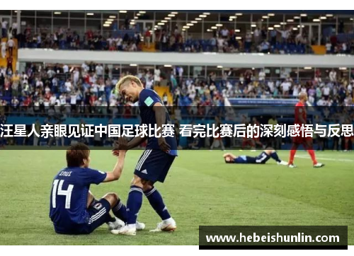 汪星人亲眼见证中国足球比赛 看完比赛后的深刻感悟与反思