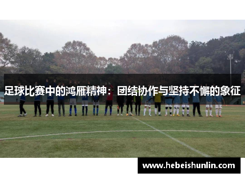 足球比赛中的鸿雁精神：团结协作与坚持不懈的象征