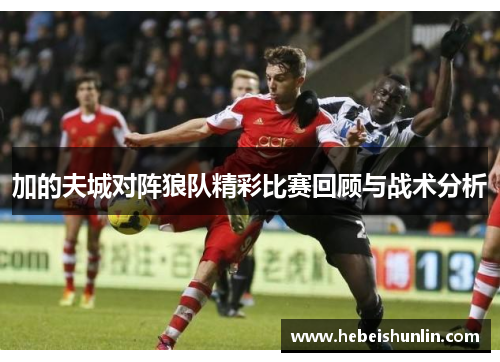 加的夫城对阵狼队精彩比赛回顾与战术分析