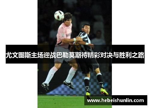 尤文图斯主场迎战巴勒莫期待精彩对决与胜利之路