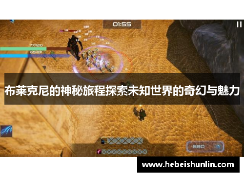 布莱克尼的神秘旅程探索未知世界的奇幻与魅力