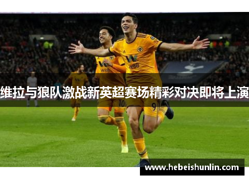 维拉与狼队激战新英超赛场精彩对决即将上演
