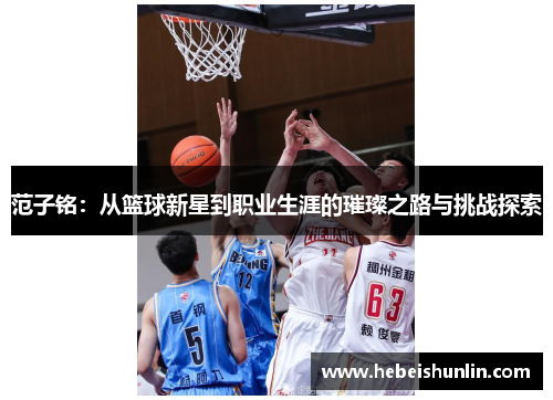 范子铭：从篮球新星到职业生涯的璀璨之路与挑战探索